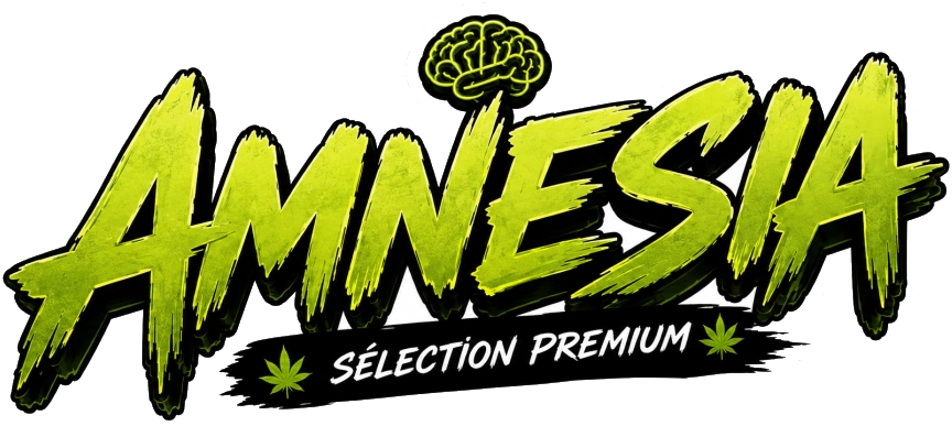 Amnesia